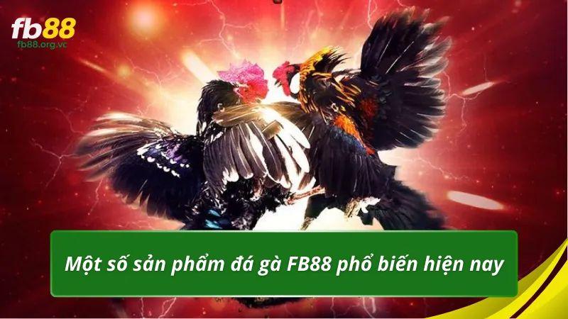 Một số sản phẩm đá gà FB88 phổ biến hiện nay